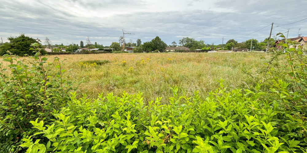 terrain à VILLANDRAUT (33730)