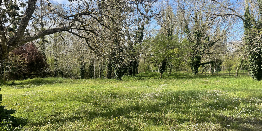 terrain à BARSAC (33720)