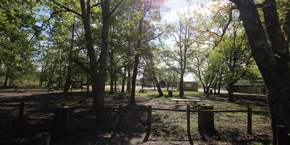 terrain à ARES (33740)