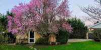 maison à BAYON SUR GIRONDE (33710)