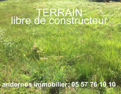 terrain  LANTON