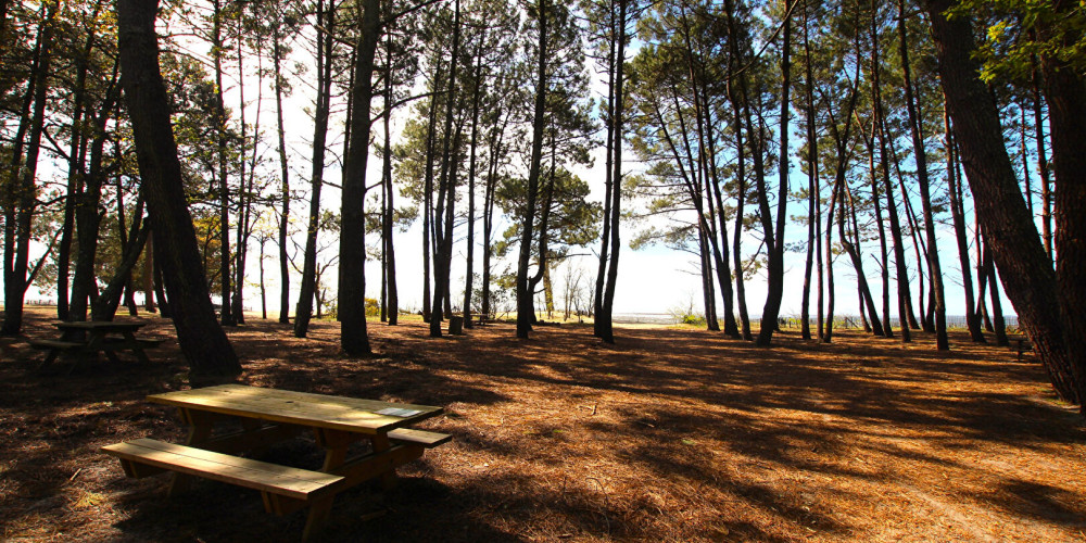 terrain à ARES (33740)