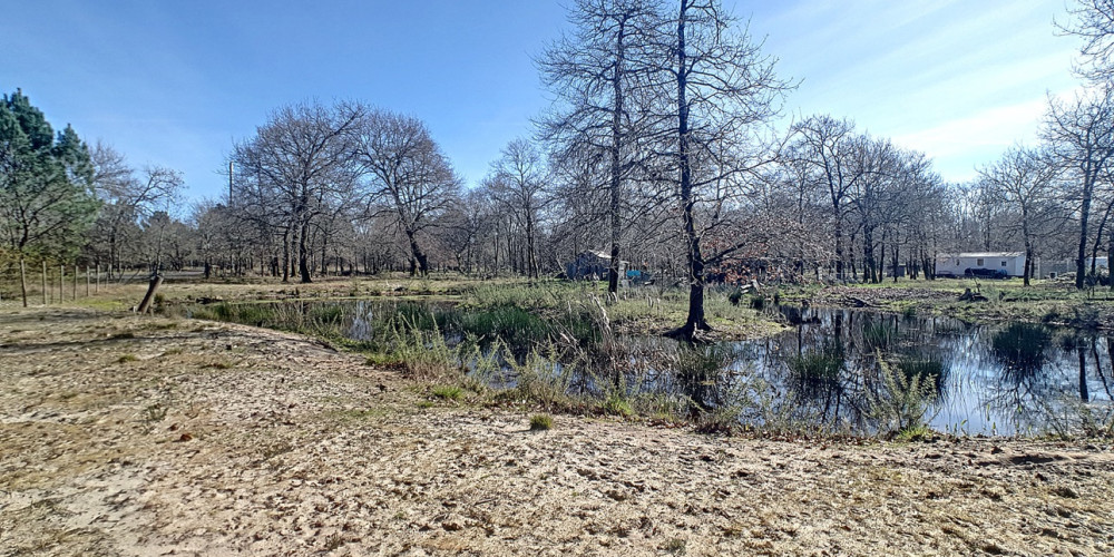 terrain à GUJAN MESTRAS (33470)