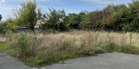 terrain à LE TAILLAN MEDOC (33320)