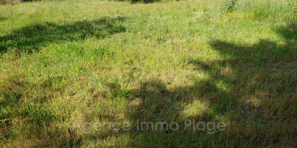 terrain à ST VIVIEN DE MEDOC (33590)