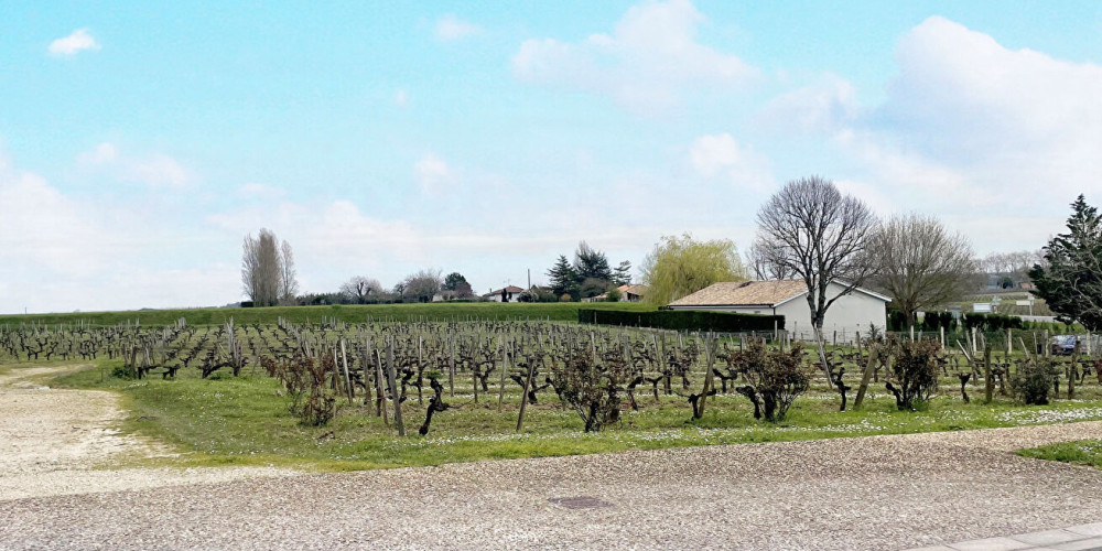 terrain à BLAYE (33390)