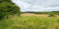 terrain à VILLANDRAUT (33730)