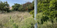 terrain à LE TAILLAN MEDOC (33320)