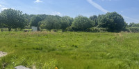 terrain à ST SULPICE ET CAMEYRAC (33450)