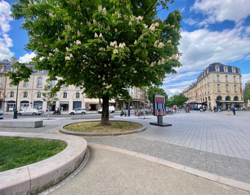 appartement  BORDEAUX