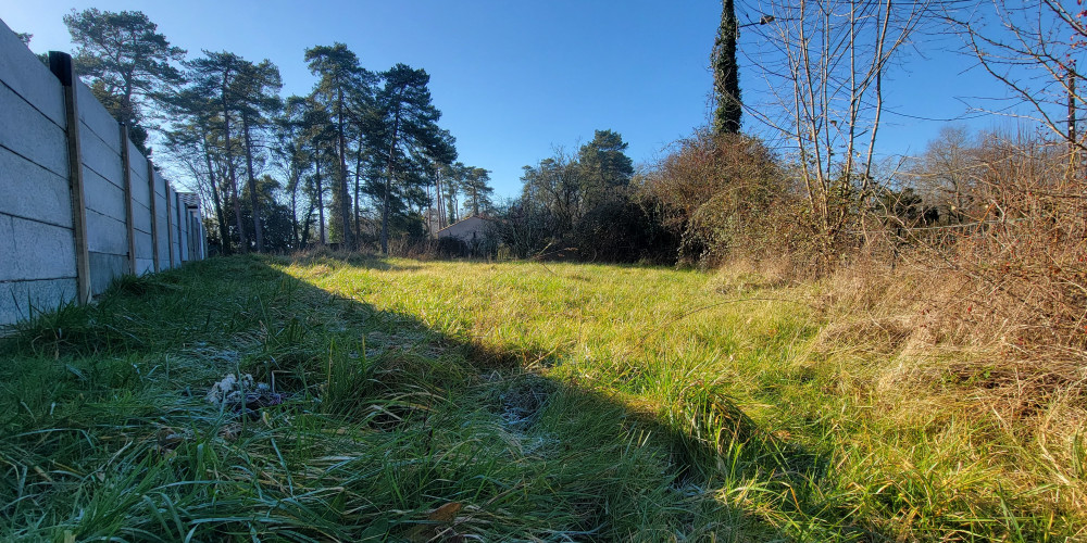 terrain à MARTILLAC (33650)