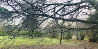 terrain à LE TAILLAN MEDOC (33320)