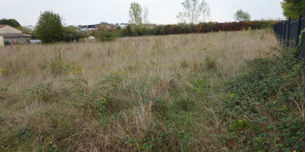 terrain à BLAYE (33390)