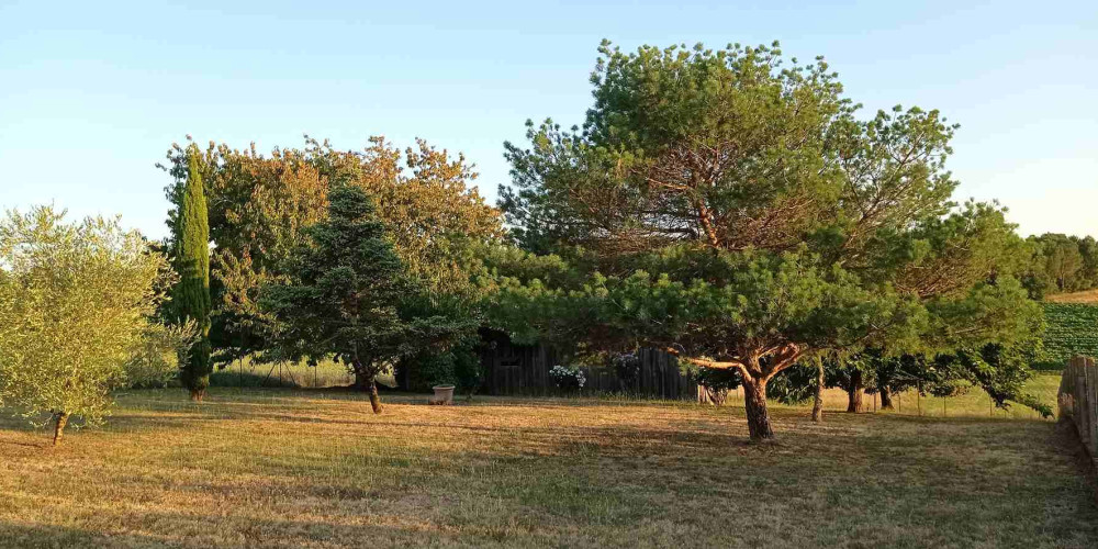 maison à ST CIERS SUR GIRONDE (33820)