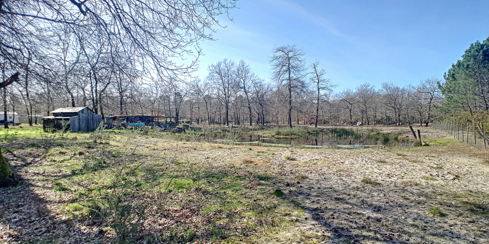 terrain à GUJAN MESTRAS (33470)