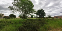 terrain à LUDON MEDOC (33290)