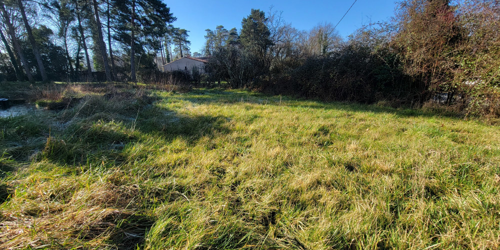 terrain à MARTILLAC (33650)