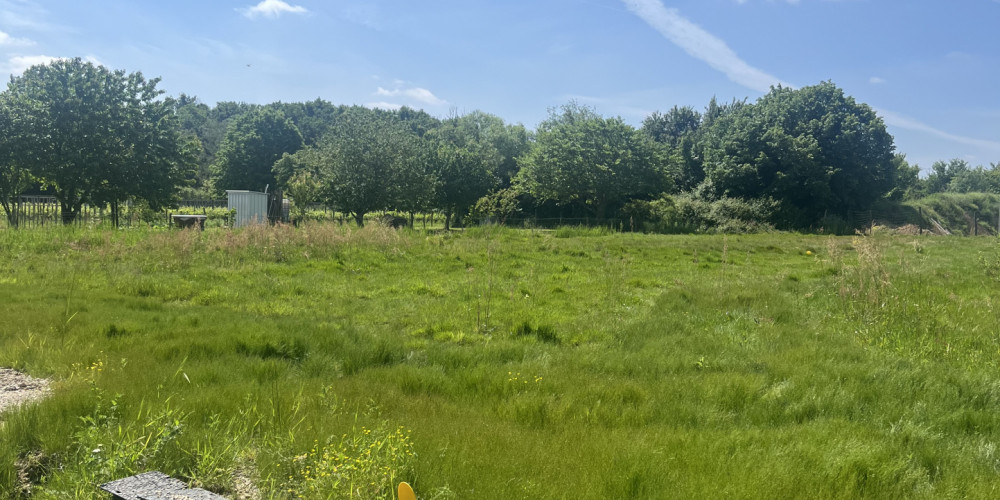 terrain à ST SULPICE ET CAMEYRAC (33450)