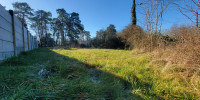 terrain à MARTILLAC (33650)