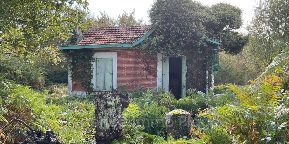 maison à ST VIVIEN DE MEDOC (33590)