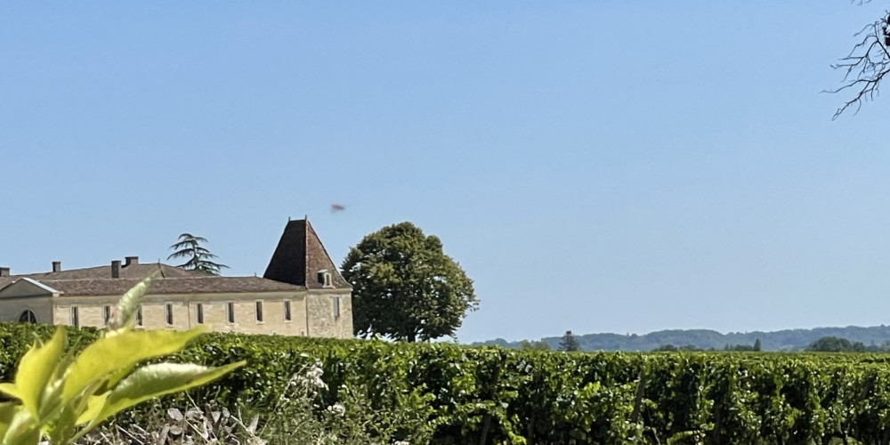 maison à ST LAURENT DES COMBES (33330)