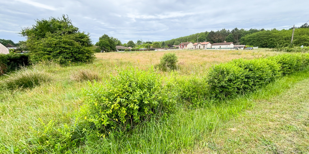 terrain à VILLANDRAUT (33730)