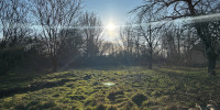 terrain à ST DENIS DE PILE (33910)