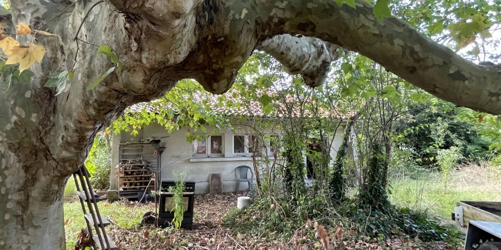 maison à LE TEICH (33470)