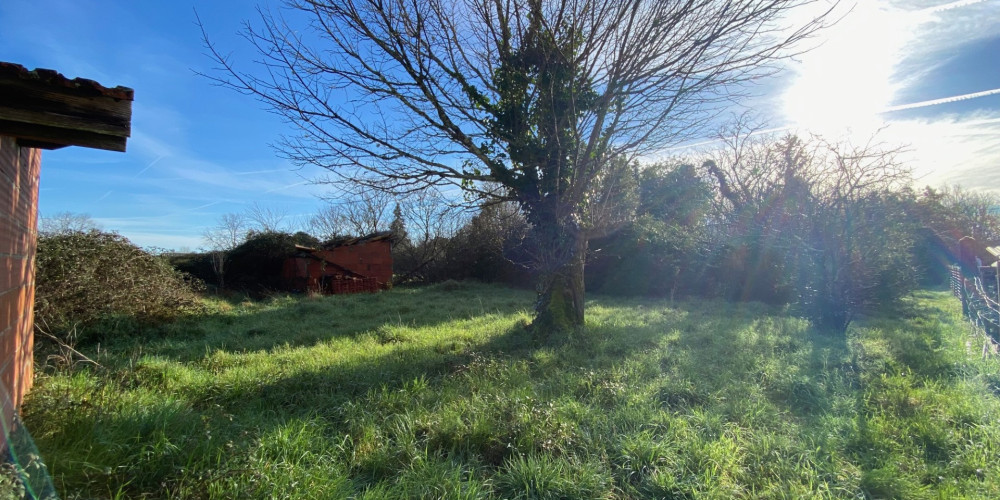 terrain à CESTAS (33610)