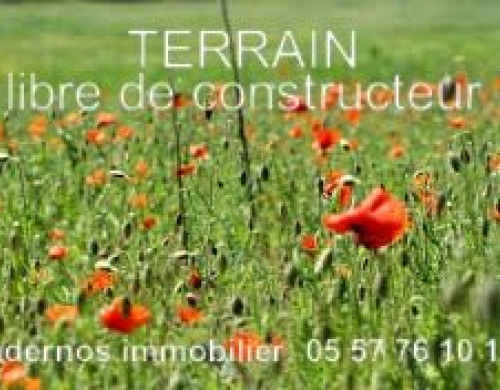 terrain  ANDERNOS LES BAINS