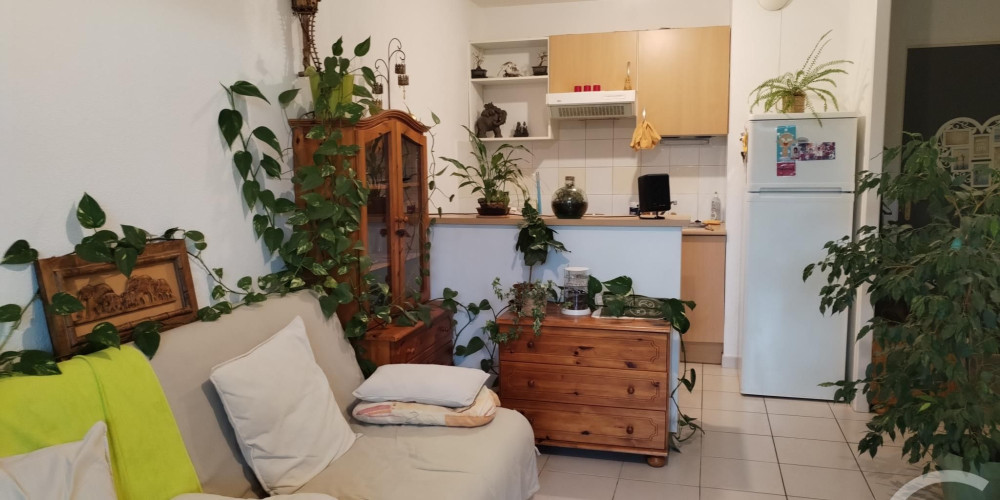 appartement à LANGON (33210)