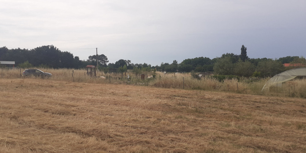 terrain à ST DENIS DE PILE (33910)