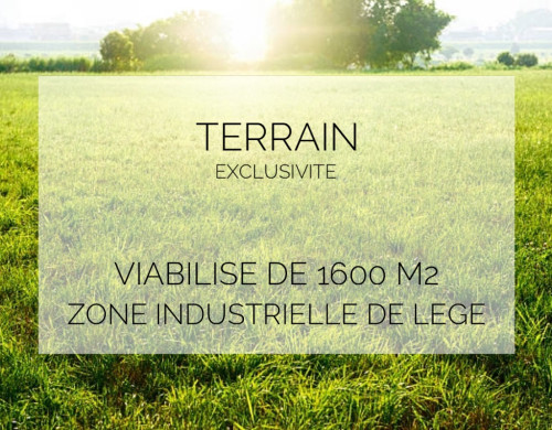 terrain  LEGE CAP FERRET