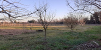 terrain à ST MAGNE DE CASTILLON (33350)