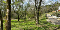 terrain à BOULIAC (33270)