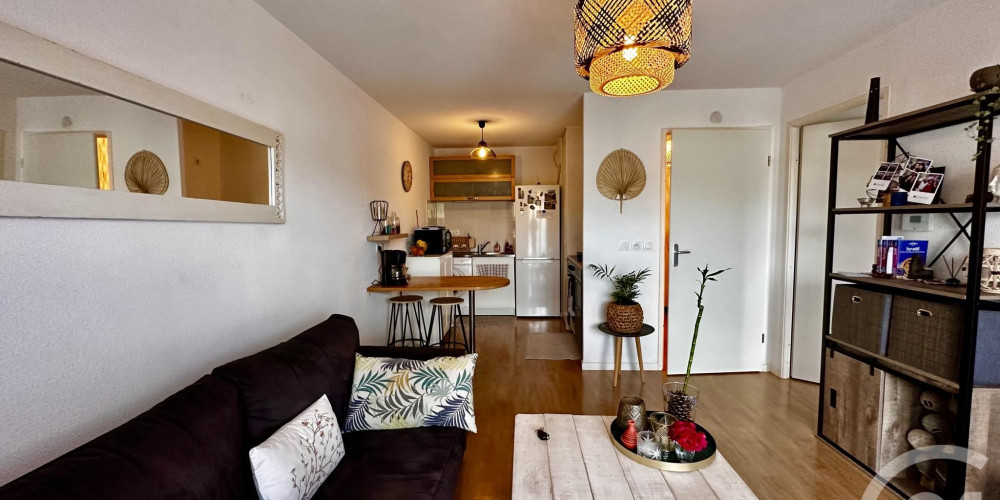 appartement à LANTON (33138)