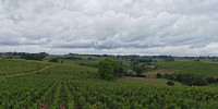 terrain à LIBOURNE (33500)