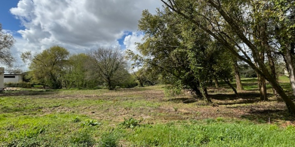 terrain à BOULIAC (33270)