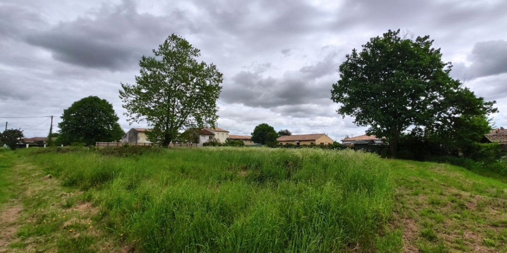 terrain à LUDON MEDOC (33290)