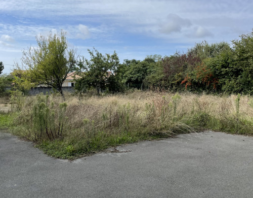 terrain  LE TAILLAN MEDOC