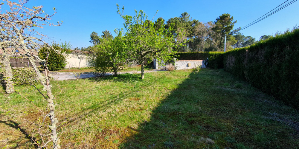 terrain à LE BARP (33114)