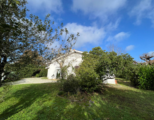 maison  ST MEDARD EN JALLES