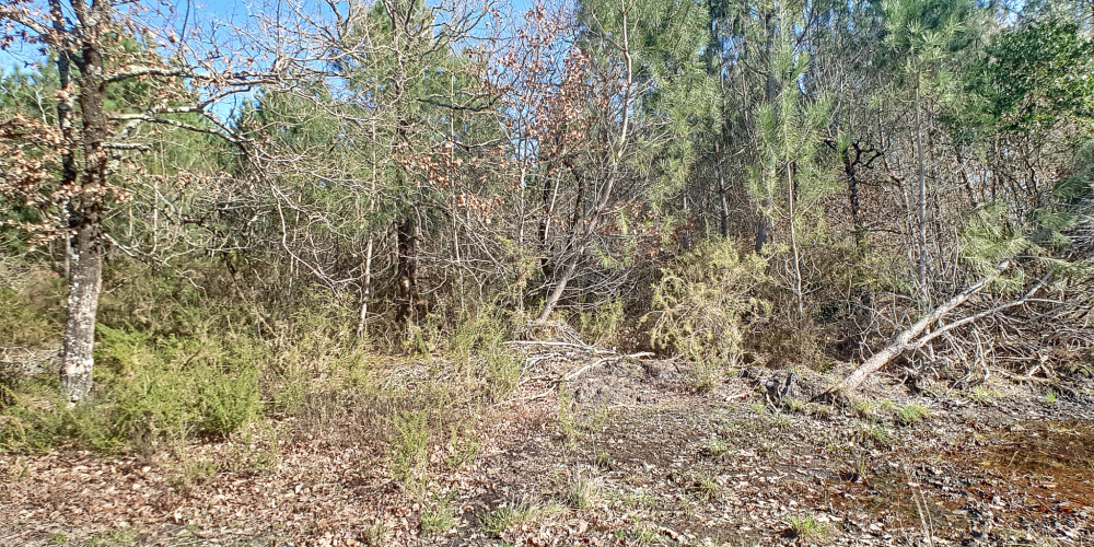 terrain à GUJAN MESTRAS (33470)