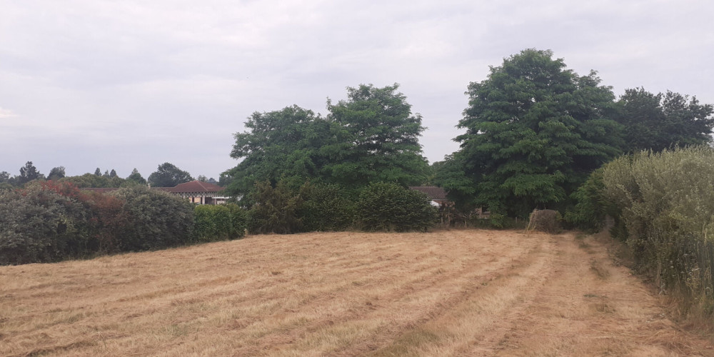 terrain à ST DENIS DE PILE (33910)