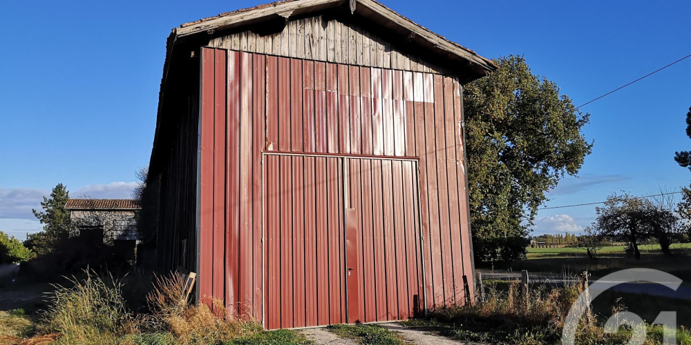 maison à LOUPIAC DE LA REOLE (33190)