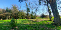 terrain à AMBARES ET LAGRAVE (33440)