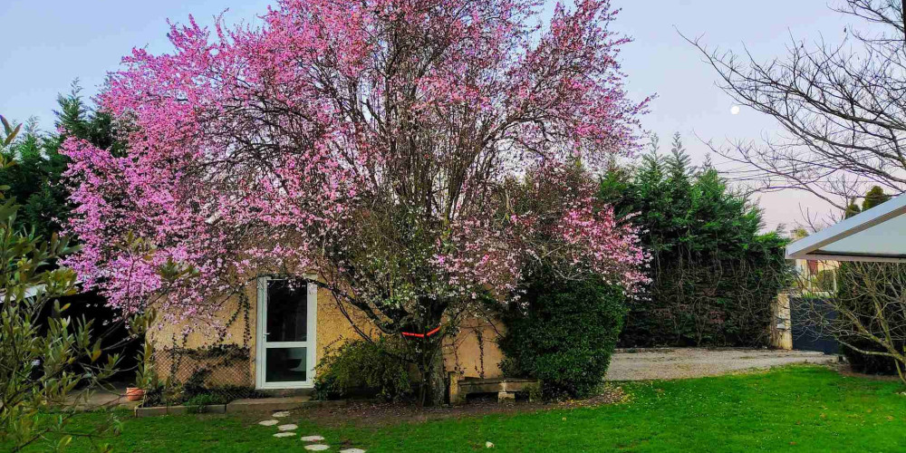 maison à BAYON SUR GIRONDE (33710)