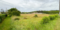 terrain à VILLANDRAUT (33730)