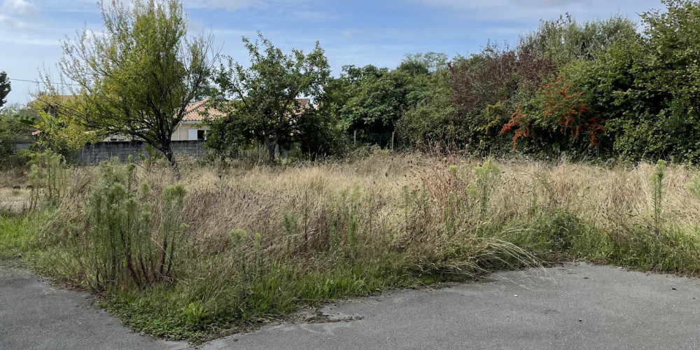 immeuble à LE TAILLAN MEDOC (33320)