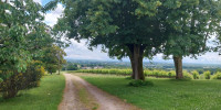 maison à STE CROIX DU MONT (33410)